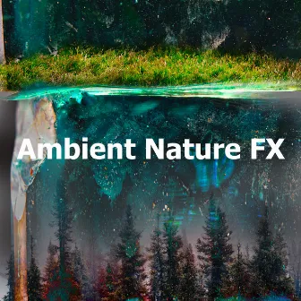 Ambient Nature FX by The Sounds of Earth Group