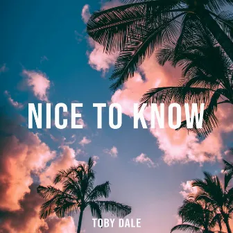 Nice To Know by Toby Dale