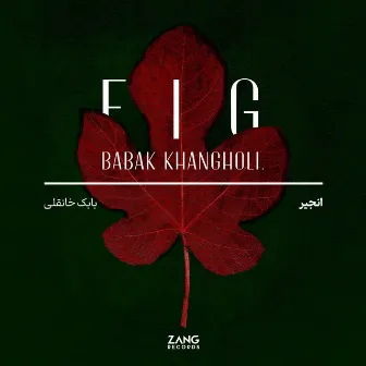 Fig by Babak Khangholi