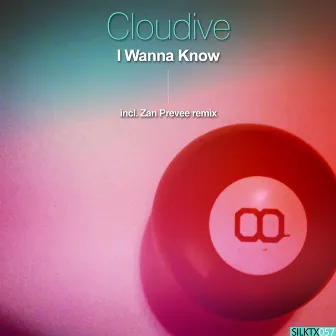 I Wanna Know by Cloudive