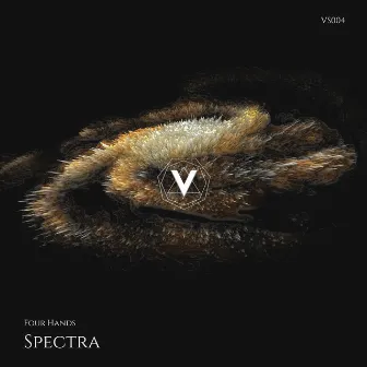 Spectra by Four Hands (GER)