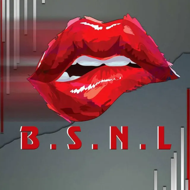 B.S.N.L