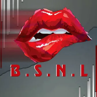 B.S.N.L by B Ray