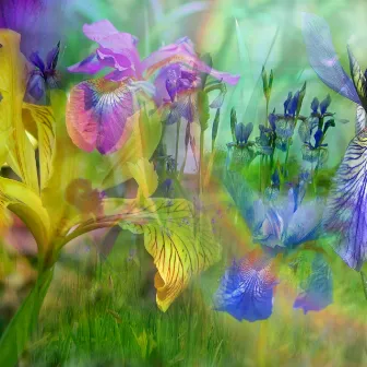 Waltz of the Iris by RebeccaETripp