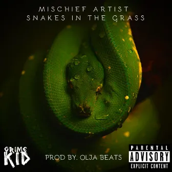 Snakes in the Grass by Mischief Artist