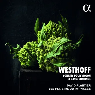 Westhoff: Sonates pour violon et basse continue (Alpha Collection) by Johann Paul Von Westhoff