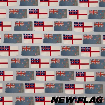 New Flag by Hamish Gavin