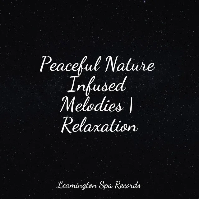 Music for Meditation and Relaxation