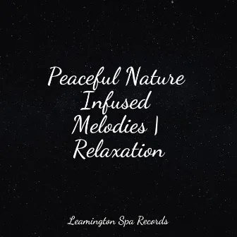 Peaceful Nature Infused Melodies | Relaxation by Unknown Artist