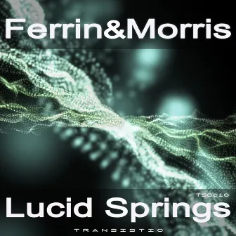 Lucid Springs by Ferrin & Morris