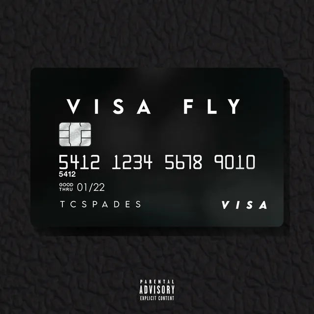 Visa Fly