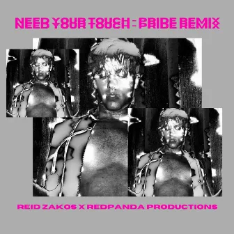 Need Your Touch (Pride Remix) by Reid Zakos