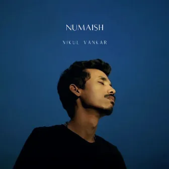 Numaish by Nikul Vankar