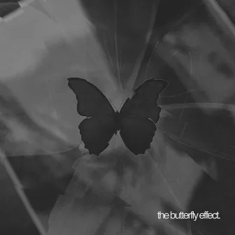 The Butterfly Effect by Sunny Khan Durrani