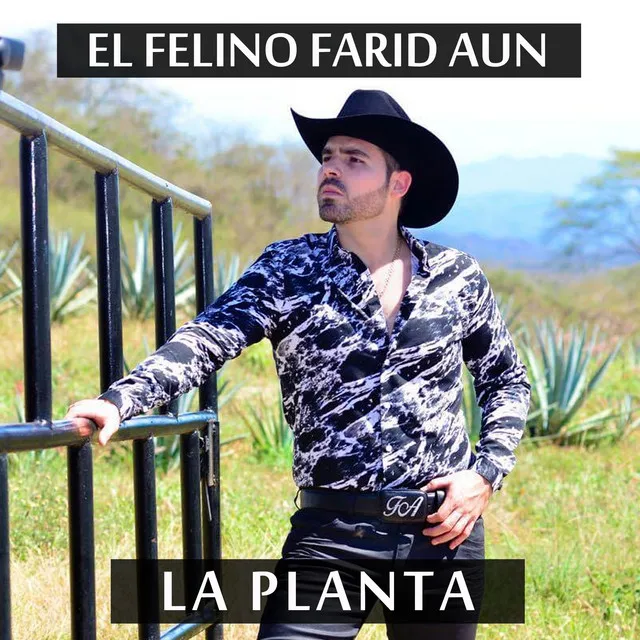 La Planta