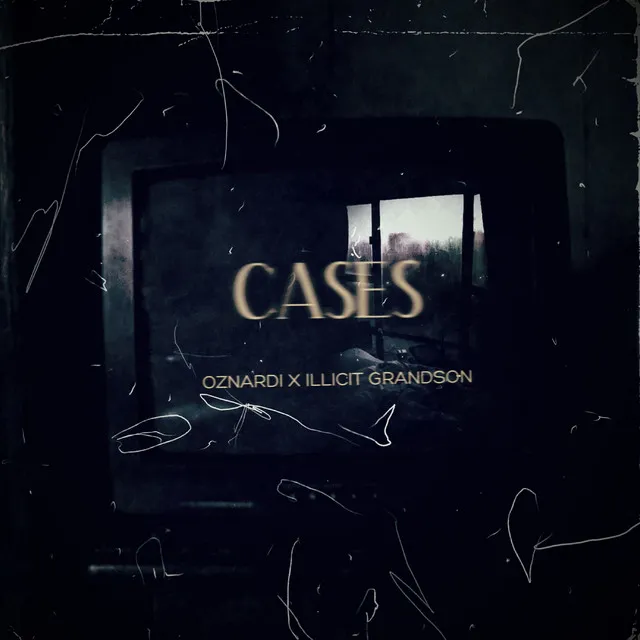 Cases