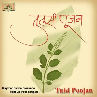 Tulsi Poojan by Ashit Desai