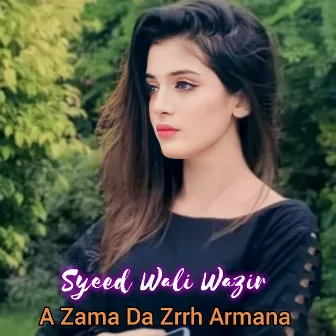 A Zama Da Zrrh Armana by Syeed Wali Wazir