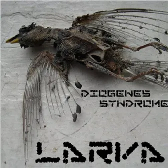 Diogenes Syndrome by Larva