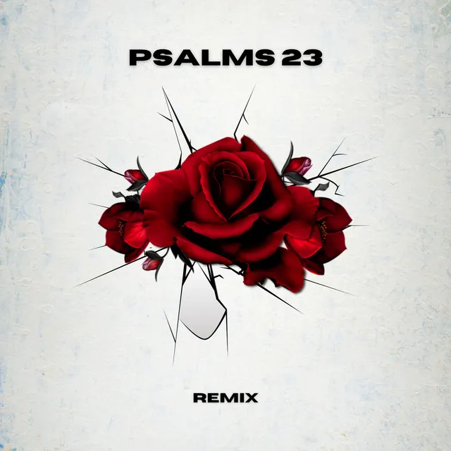 Psalms 23 - Remix