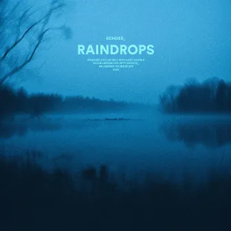 raindrops by Echoes_