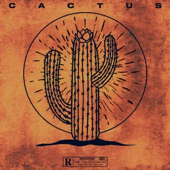 Cactus by Dann Ill