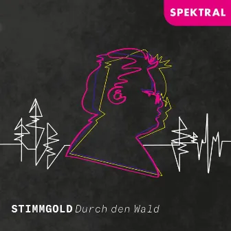 Durch den Wald by StimmGold Vokalensemble