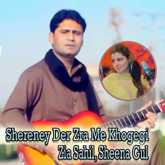 Shereney Der Zra Me Khogegi - Single by Zia Sahil