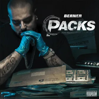 Packs by Berner