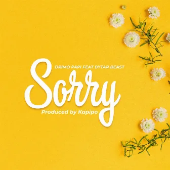 Sorry by Drimo Papi