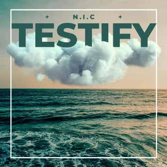 TESTIFY by N.I.C