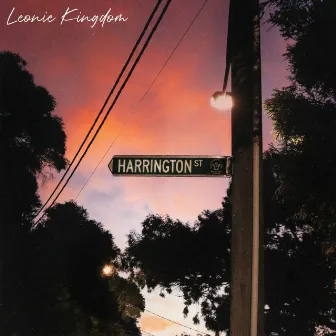 Harrington Street by Leonie Kingdom