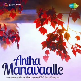 Antha Manavaalle (Original Motion Picture Soundtrack) by Thapi