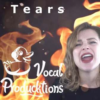 Tears by Vocal Producktions