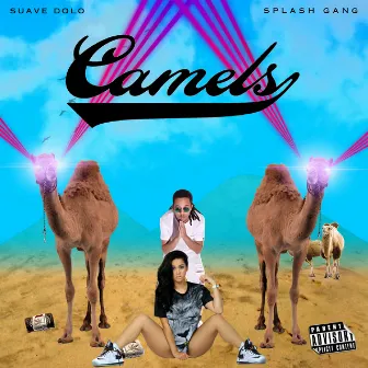 Camels by Suave Dolo