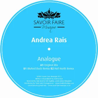 Analogue by Andrea Rais