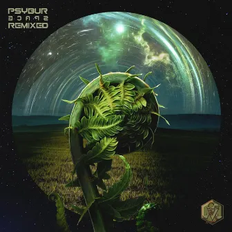 Psybur Space Remixed by Psybur