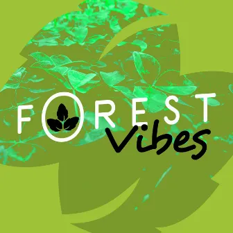 Forest Vibes by Forest Sounds