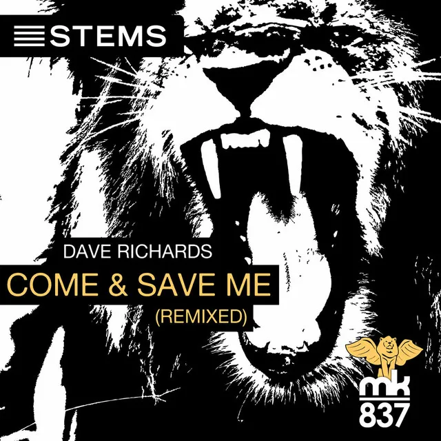 Come and Save Me - Reiche Remix