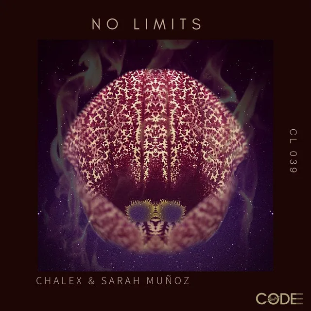 No Limits - Original Mix