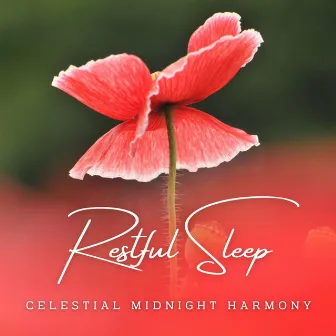 Dreamscapes in Silence: Meditative Melodies for Restful Sleep by 