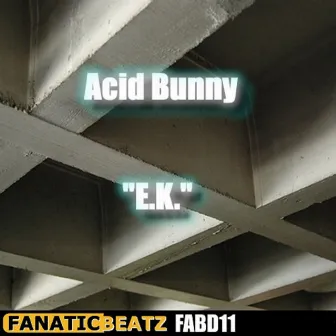 E.K. by Acid Bunny