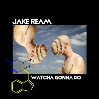 Watcha Gonna Do by Jake Ream