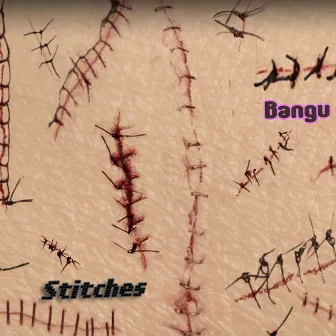 Stitches by Bangu