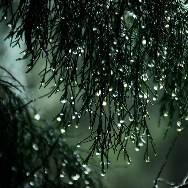 Sonido de lluvia en bucle