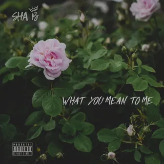 What You Mean To Me by Sha B