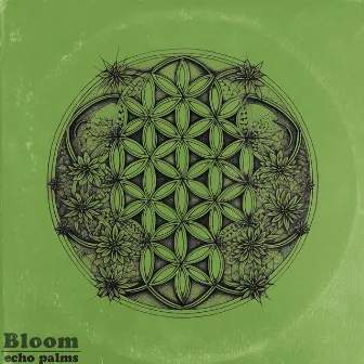 Bloom by echo palms