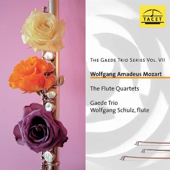 The Gaede Trio Series, Vol. 7 by Gaede Trio