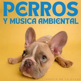 Perros Y Música Ambiental: Terapia De Cuidados by Los chicos de la música del perro