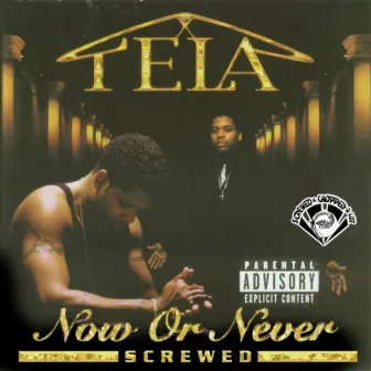 Now or Never (Screwed) by Tela